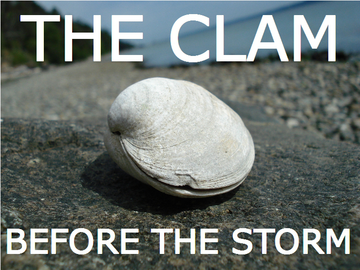 the clam before the storm